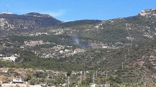 Rüzgarda devrilen ağaç, yangına sebep oldu