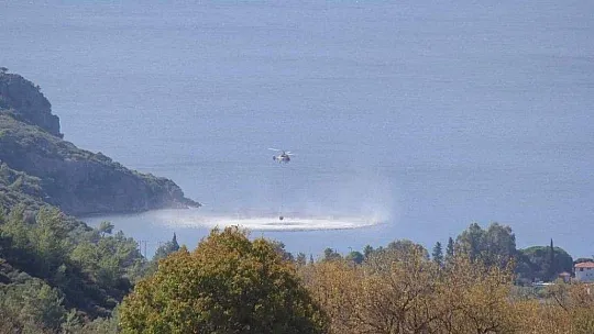 Rüzgarda devrilen ağaç, yangına sebep oldu