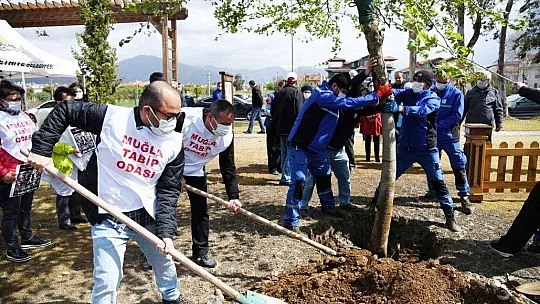 Sağlık Çalışanları için Anıt Ağaç dikildi
