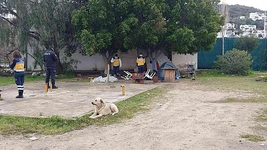 Sahilde yürüyüş yapan vatandaşlar gördükleri karşısında şok oldu