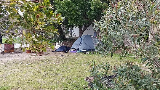 Sahilde yürüyüş yapan vatandaşlar gördükleri karşısında şok oldu