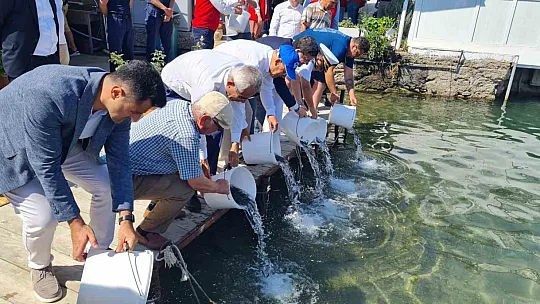 Sahipsiz tonozlar denizden çıkarıldı