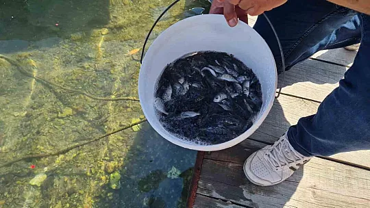 Sahipsiz tonozlar denizden çıkarıldı