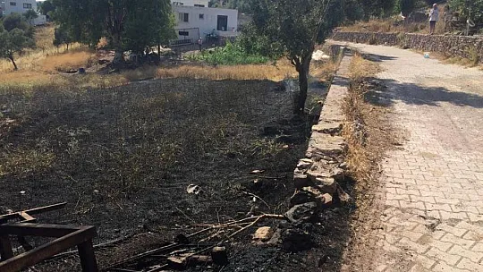 Sakallıoğlu çiftinin kızı ve damatlarının otomobili yandı