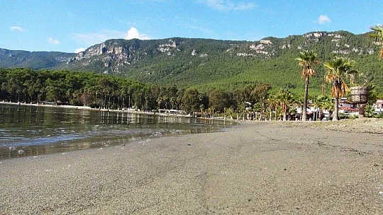 Sakin kent kedi ve köpeklere kaldı