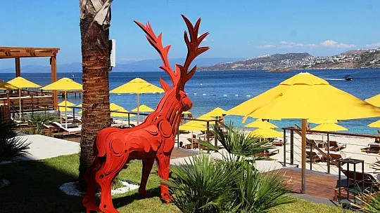 Sanatsever iş adamı otelini sanat eserleriyle süsledi, turistler hayran kaldı