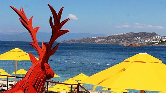 Sanatsever iş adamı otelini sanat eserleriyle süsledi, turistler hayran kaldı