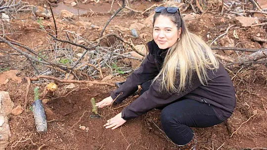 Şehit kadınlar adına fidan dikildi