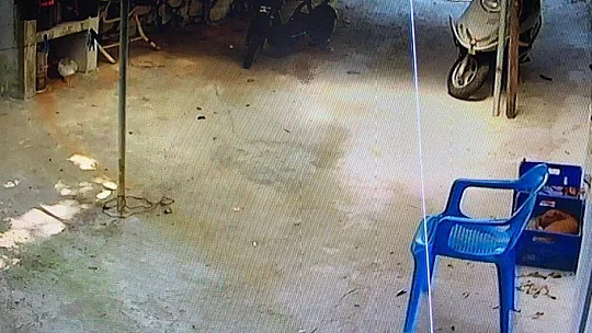 Sevecekmiş gibi yanına çağırdığı sevimli hayvanı böyle çaldı