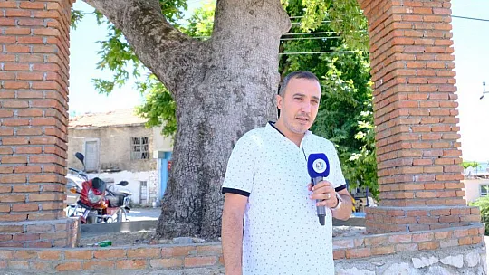 ARSA'NIN ÜNLÜ MEYVELERİ GİRİŞ KAPISINI SÜSLEDİ