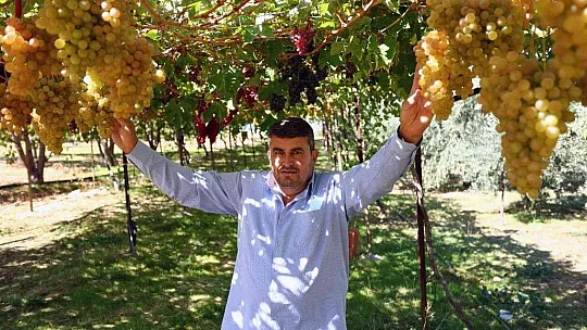 Seydikemer'de 'Bağbozumu Şenliği'