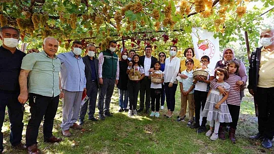 Seydikemer'de 'Bağbozumu Şenliği'