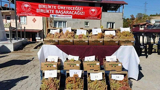 Seydikemer'de 'Bağbozumu Şenliği'