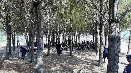 Seydikemer'de 75 düzensiz göçmen yakalandı