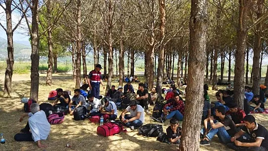 SEYDİKEMER'DE 81 DÜZENSİZ GÖÇMEN YAKALANDI