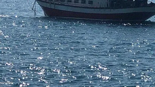 Seydikemer'de 96 düzensiz göçmen yakalandı