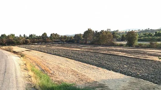 Seydikemer'de alevlerin arasında kalan kaplumbağa kurtarıldı
