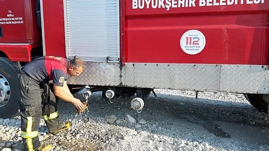 Seydikemer'de alevlerin arasında kalan kaplumbağa kurtarıldı