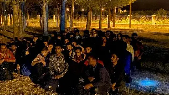 SEYDİKEMER'DE KAMYON KASASINDA 64 DÜZENSİZ GÖÇMEN YAKALANDI