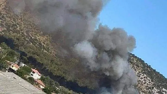 Seydikemer'de orman yangını