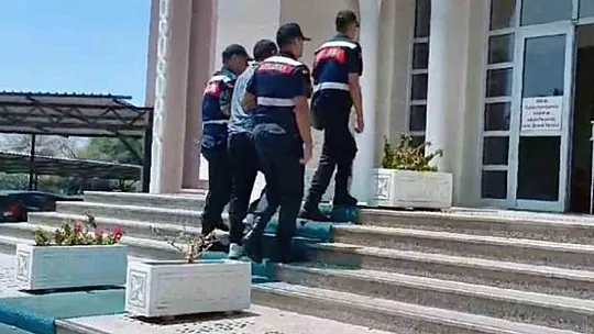 Orman yangını faili yakalandı