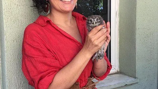 BÜYÜDÜKTEN SONRA DOĞAYA BIRAKILACAK