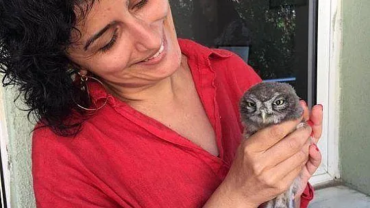 BÜYÜDÜKTEN SONRA DOĞAYA BIRAKILACAK