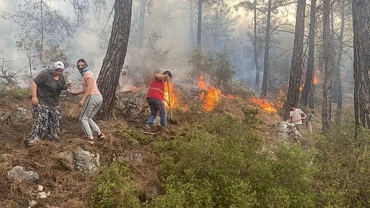 Seydikemer yangını rüzgarın şiddeti ile büyüyor