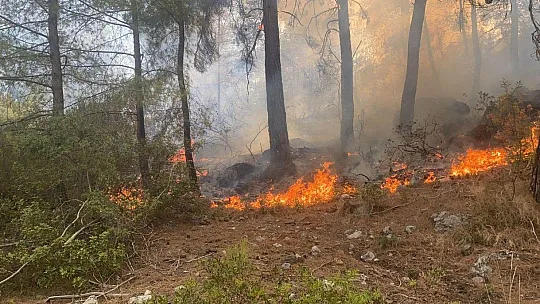 Seydikemer yangını rüzgarın şiddeti ile büyüyor