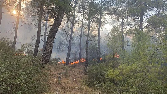 Seydikemer yangını rüzgarın şiddeti ile büyüyor