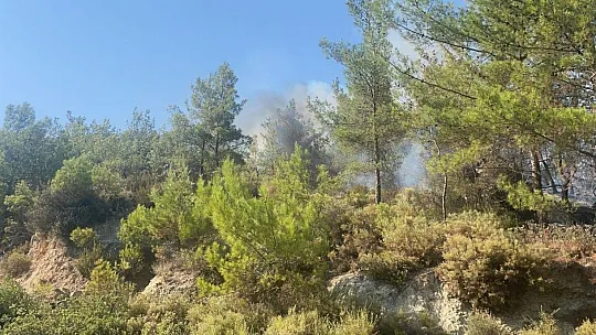 Seydikemer yangını rüzgarın şiddeti ile büyüyor