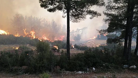 Seydikemer yangını devam ediyor