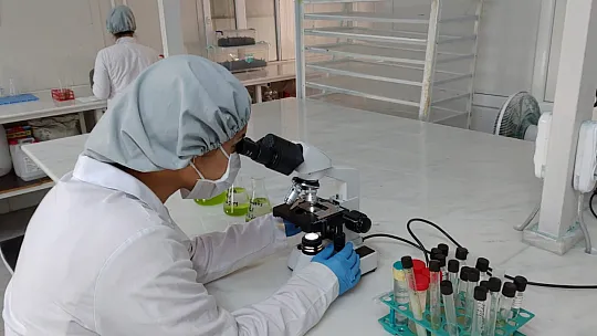 Takviye Edici Gıdalara Büyük Talep