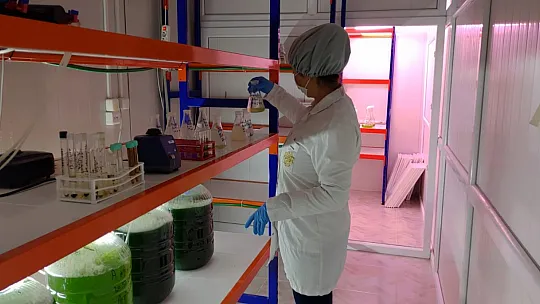 Takviye Edici Gıdalara Büyük Talep
