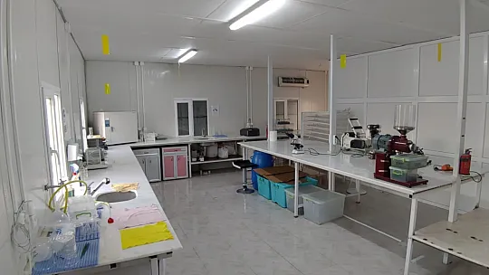 Takviye Edici Gıdalara Büyük Talep