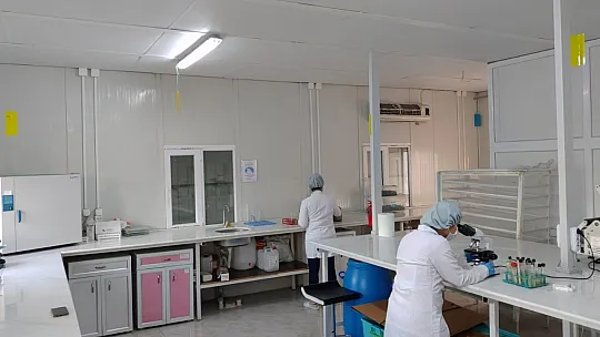 Takviye Edici Gıdalara Büyük Talep