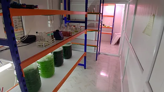 Takviye Edici Gıdalara Büyük Talep