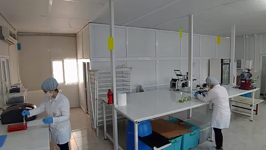 Takviye Edici Gıdalara Büyük Talep