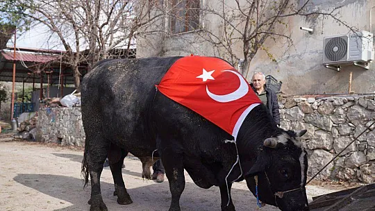 SEYDİKEMERLİ BESİCİ TÜRKİYE REKORUNU KIRDI