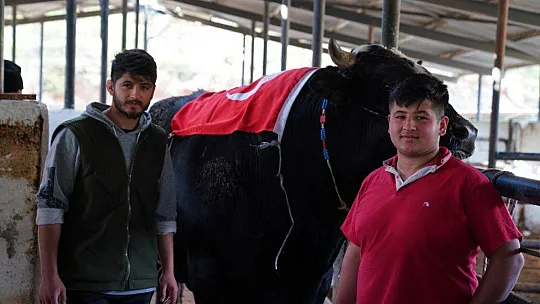 SEYDİKEMERLİ BESİCİ TÜRKİYE REKORUNU KIRDI