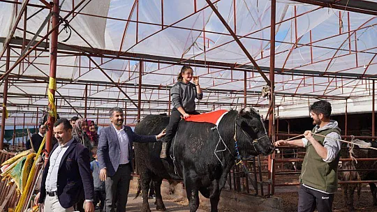 SEYDİKEMERLİ BESİCİ TÜRKİYE REKORUNU KIRDI