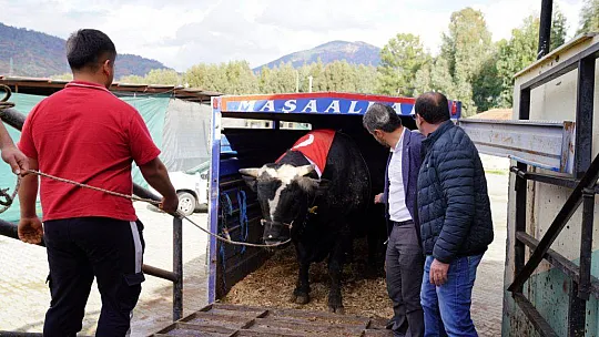 SEYDİKEMERLİ BESİCİ TÜRKİYE REKORUNU KIRDI