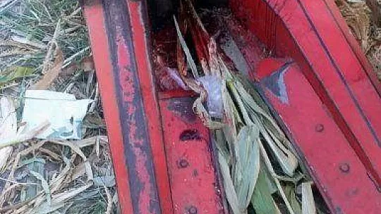 Silaj makinesi çiftçinin kolunu kopardı