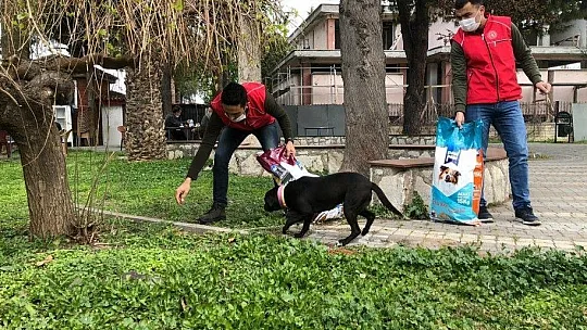 Sokak hayvanları için kuru mama dağıtıldı