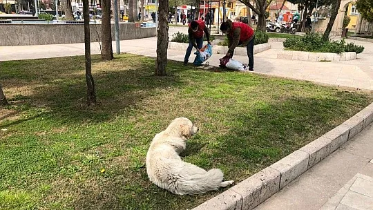 Sokak hayvanları için kuru mama dağıtıldı