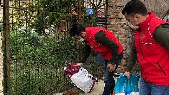 Sokak hayvanları için kuru mama dağıtıldı