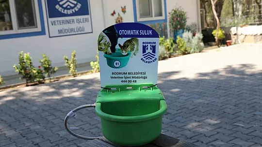 Sokak hayvanları için otomatik suluk