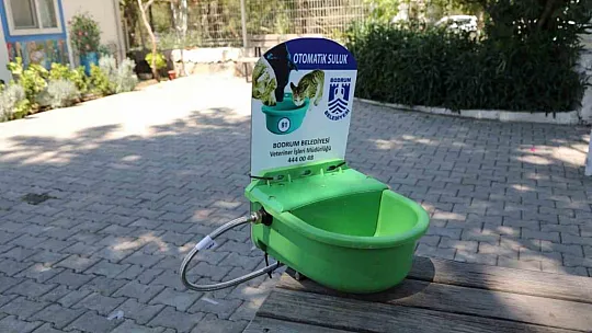 Sokak hayvanları için otomatik suluk