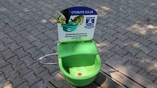 Sokak hayvanları için otomatik suluk