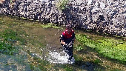 Su kanalında mahsur kalan kediye itfaiye kurtardı